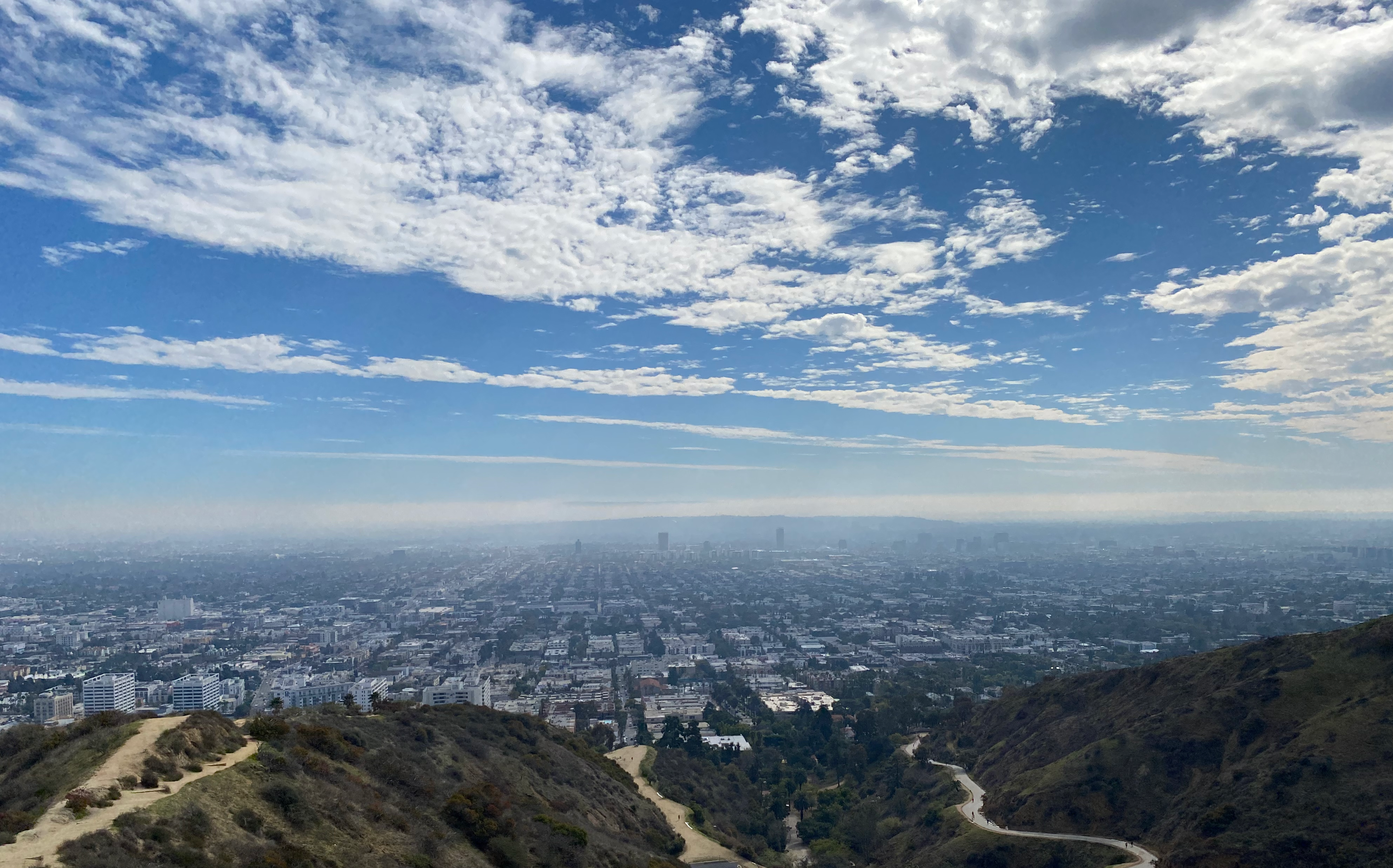 a view of Los Angeles from atop the hill in Runyon Canyon