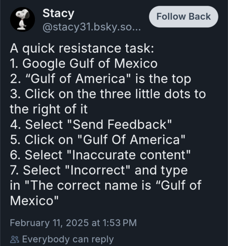 a picture of instructions to use the Send Feedback tool on Google to tell them it is the Gulf of _Mexico_